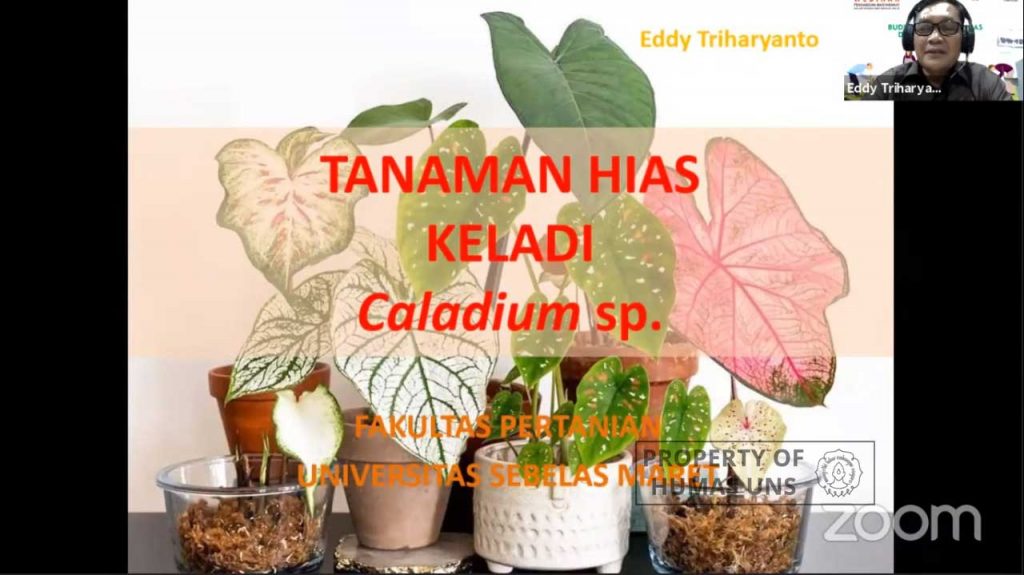 FP UNS Shared the Opportunity of Decorative Plants Business Amid the Pandemic