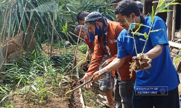 Agrotechnology Research Group UNS Held Training for Red Ginger Nursery in Jatiyoso, Karanganyar