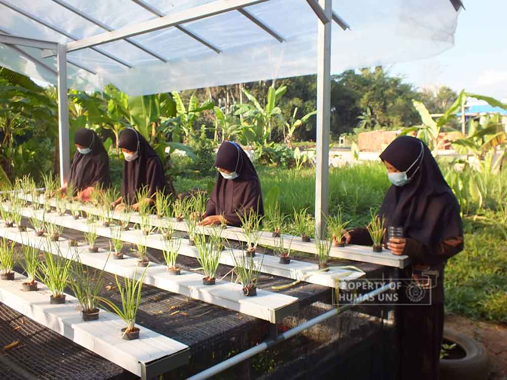 Tingkatkan Ketahanan Pangan, Tim PKM-PM UNS Menggalakkan Urban Farming di Panti Danukusumo, Purworejo