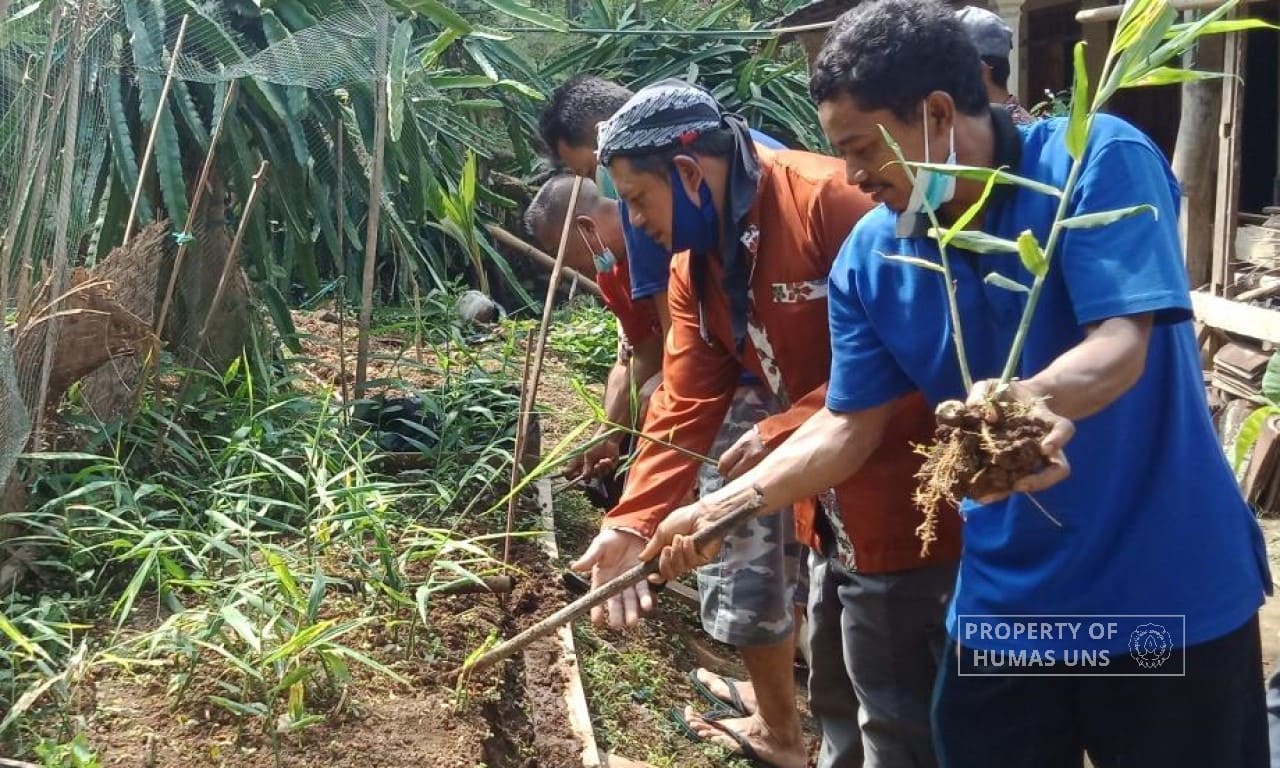 Riset Grup Prodi Agroteknologi UNS Adakan Pelatihan Pesemaian Jahe Merah di Jatiyoso, Karanganyar