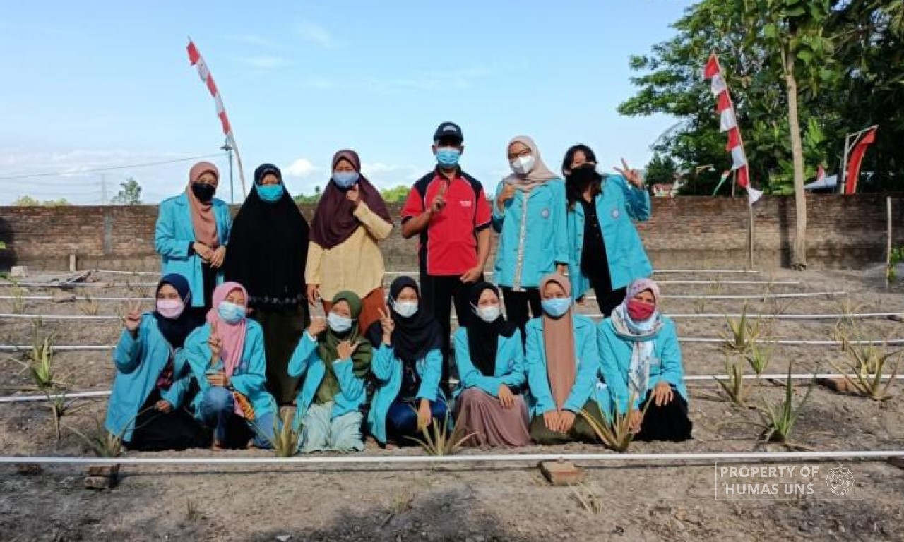 KKN UNS Desa Karangwungu Bersama UMKM Rezeki Barokah Melakukan Budidaya, Produksi, dan Pemasaran Produk Olahan Lidah Buaya