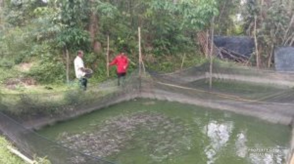 Prodi Ekonomi Pembangunan UNS Beri Pendampingan Peternak Ikan Desa Trenceng, Tulungagung