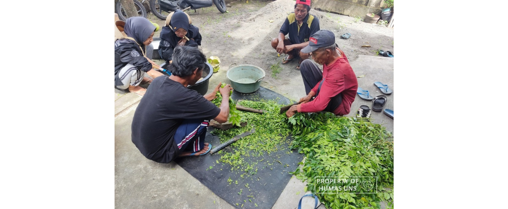 UNS MBKM Students and Farmers Group in Kemudo Village, Klaten Create a Pest Control Solution in Maja Fruit – Sebelas Maret University
